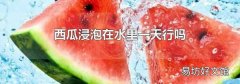 西瓜浸泡在水里一天行吗