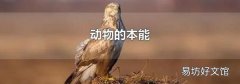 动物的本能