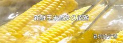 新鲜玉米煮多久能熟