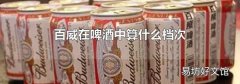 百威在啤酒中算什么档次