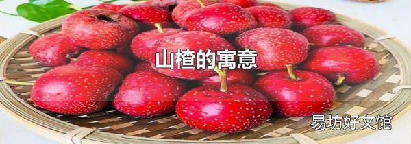 山楂的寓意