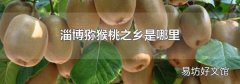 淄博猕猴桃之乡是哪里