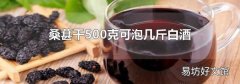 桑葚干500克可泡几斤白酒