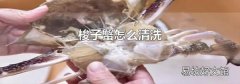 梭子蟹怎么清洗
