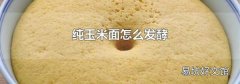 纯玉米面怎么发酵