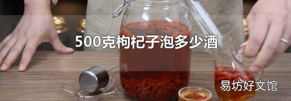 500克枸杞子泡多少酒