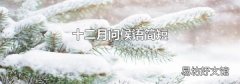 十二月问候语简短