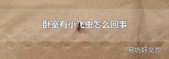 臥室有小飛蟲怎么回事
