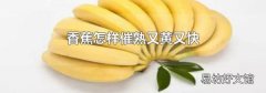 香蕉怎樣催熟又黃又快