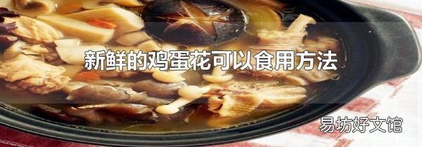 新鮮的雞蛋花可以食用方法