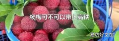 楊梅可不可以帶上高鐵