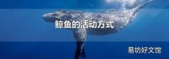 鯨魚的活動(dòng)方式