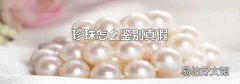 珍珠怎么鉴别真假