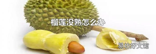 榴莲没熟怎么办