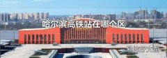 哈尔滨高铁站在哪个区