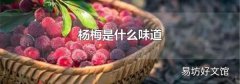 杨梅是什么味道