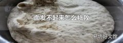 面发不起来怎么补救