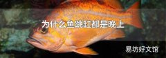 为什么鱼跳缸都是晚上
