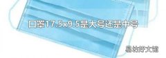 口罩17.5x9.5是大号还是中号