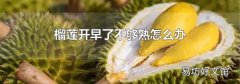 榴莲开早了不够熟怎么办