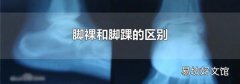 脚裸和脚踝的区别