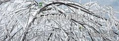 冬天的颜色有哪些