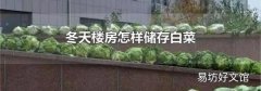 冬天楼房怎样储存白菜