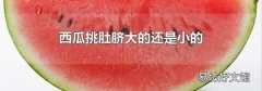 西瓜挑肚脐大的还是小的