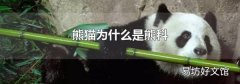 熊猫为什么是熊科