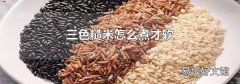 三色糙米怎么煮才软