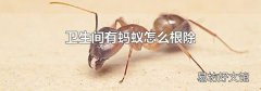 卫生间有蚂蚁怎么根除