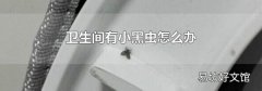 卫生间有小黑虫怎么办