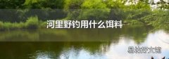 河里野钓用什么饵料