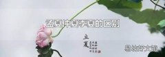 孟夏仲夏季夏的区别