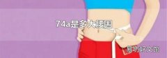 74a是多大腰围