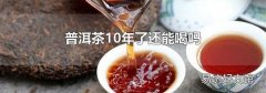 普洱茶10年了还能喝吗