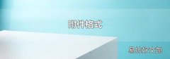 附件格式