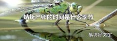 蜻蜓产卵的时间是什么季节