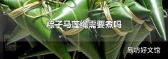 粽子马莲绳需要煮吗