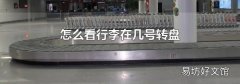 怎么看行李在几号转盘