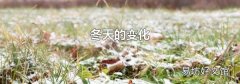 冬天的变化
