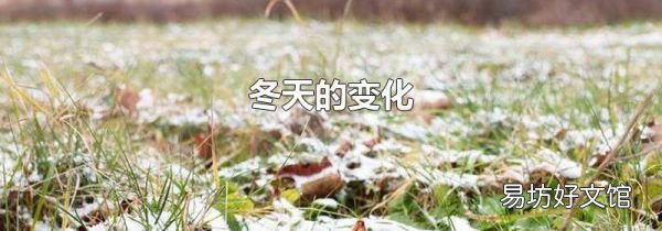 冬天的變化