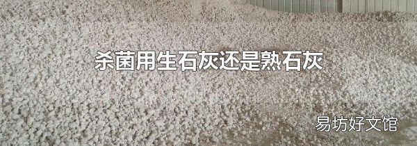 殺菌用生石灰還是熟石灰
