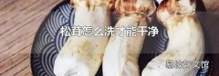 松茸怎么洗才能干凈