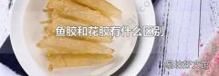 魚(yú)膠和花膠有什么區(qū)別