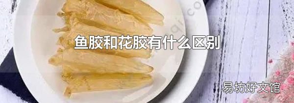 魚(yú)膠和花膠有什么區(qū)別