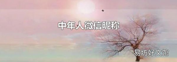 中年人微信昵稱