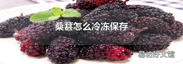 桑葚怎么冷凍保存