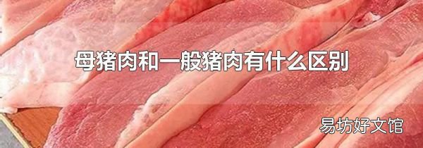 母豬肉和一般豬肉有什么區(qū)別