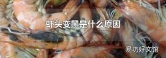 蝦頭變黑是什么原因